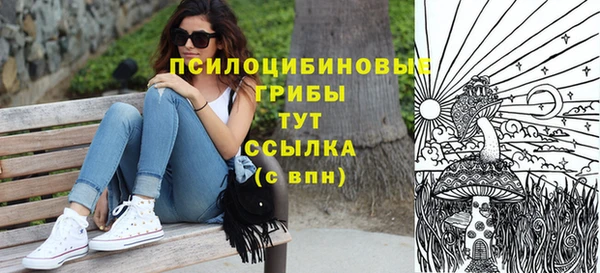 прущие грибы Балахна