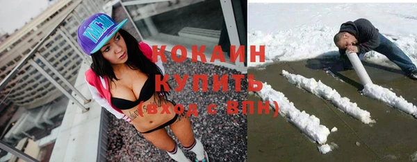 прущие грибы Балахна