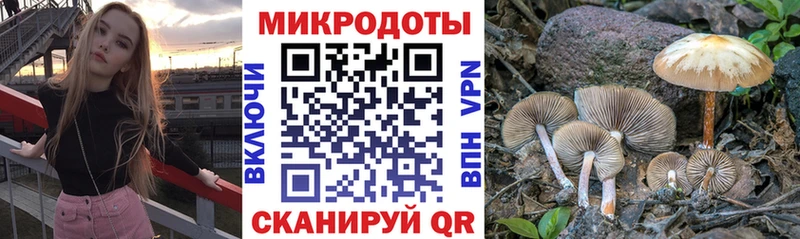 даркнет формула  Верхний Тагил  Галлюциногенные грибы Cubensis 